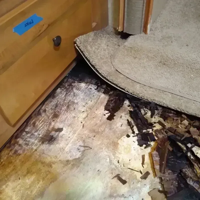 Wood Floor Water Damage in Plano, TX